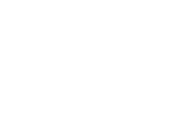 DAC System logo