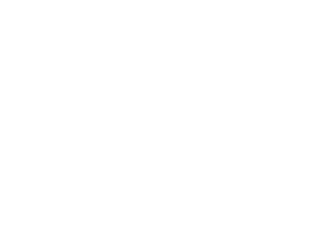 University of Florence logo